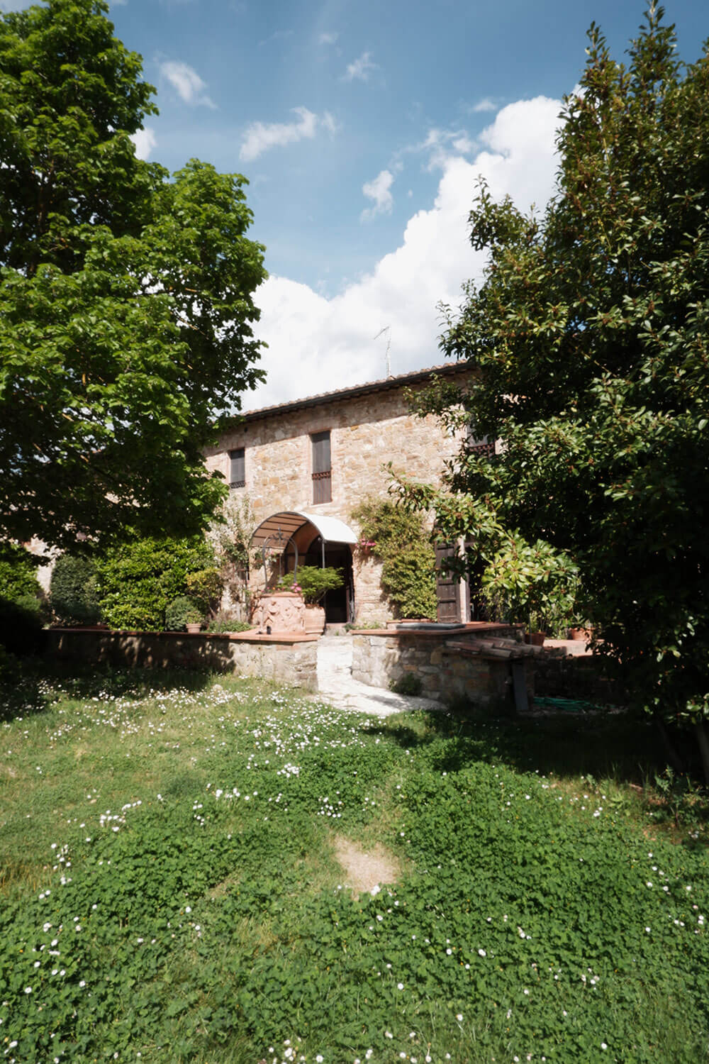madreselva